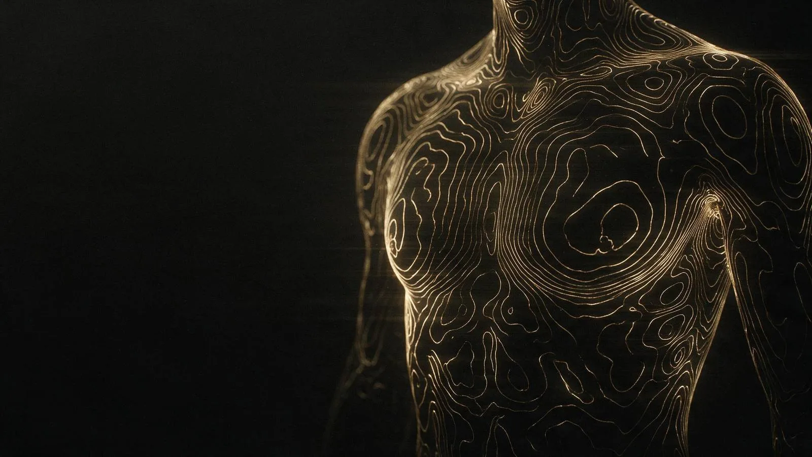A body mapped in fine gold contour lines